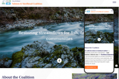 website-redesign-amp-relaunch-for-a-nature-conservancy-project-1712228608-portfolio-steelhead.png