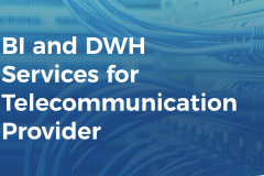 bi-and-dwh-services-for-telecommunication-provider-1729086536-group-459.png